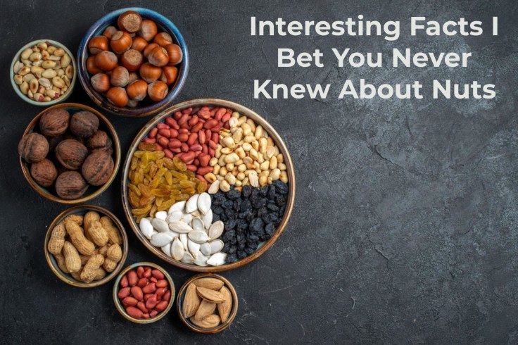 Interesting Facts I Bet You Never Knew About&nbsp;Nuts